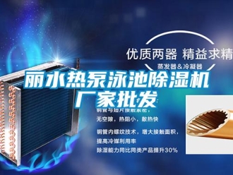 企業新聞麗水熱泵泳池除濕機廠家批發