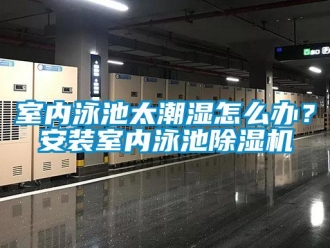常見問題室內(nèi)泳池太潮濕怎么辦？安裝室內(nèi)泳池除濕機