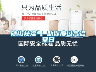 行業(yè)新聞辣椒祛濕氣 助你度過高溫夏日