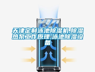 行業新聞天津定制泳池除濕機,除濕熱泵工作原理,泳池除濕設備