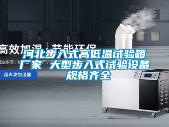 常見問題河北步入式高低溫試驗箱廠家 大型步入式試驗設備 規格齊全