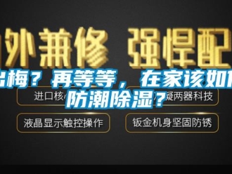 常見問題出梅？再等等，在家該如何防潮除濕？