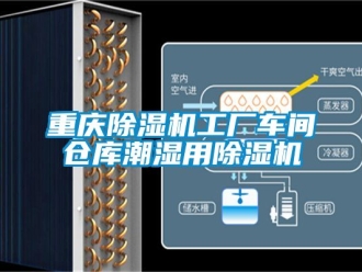 企業(yè)新聞重慶除濕機工廠車間倉庫潮濕用除濕機