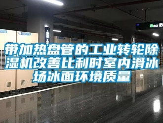 常見(jiàn)問(wèn)題帶加熱盤管的工業(yè)轉(zhuǎn)輪除濕機(jī)改善比利時(shí)室內(nèi)滑冰場(chǎng)冰面環(huán)境質(zhì)量