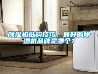 企業(yè)新聞除濕機選購技巧，最好的除濕機品牌是哪個？