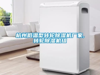 企業新聞杭州低溫型轉輪除濕機廠家,轉輪除濕機組