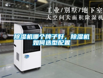 行業(yè)新聞除濕機哪個牌子好，除濕機如何選型配置