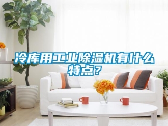 常見問題冷庫用工業除濕機有什么特點？