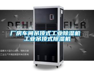常見問題廠房車間吊頂式工業(yè)除濕機(jī) 工業(yè)吊頂式除濕機(jī)