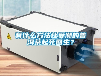 知識百科有什么方法讓受潮的普洱茶起死回生？