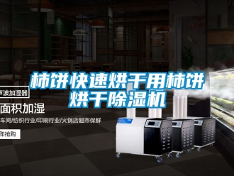 行業(yè)新聞柿餅快速烘干用柿餅烘干除濕機