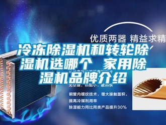 常見問題冷凍除濕機和轉輪除濕機選哪個 家用除濕機品牌介紹