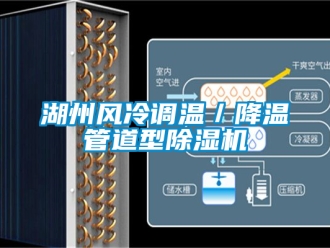 行業(yè)新聞湖州風冷調溫／降溫管道型除濕機