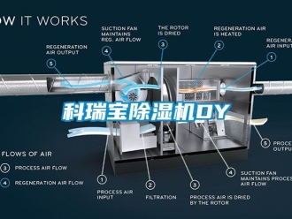 行業新聞科瑞寶除濕機DY
