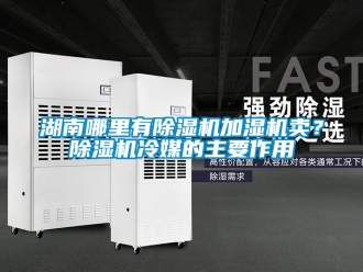 行業(yè)新聞湖南哪里有除濕機加濕機賣？除濕機冷媒的主要作用