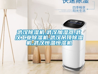 常見問題武漢除濕機,武漢加濕器,武漢工業除濕機,武漢吊頂除濕機,武漢恒溫恒濕機
