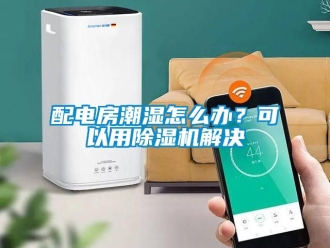 行業(yè)新聞配電房潮濕怎么辦？可以用除濕機(jī)解決