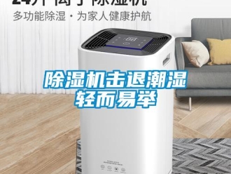 常見問題除濕機擊退潮濕輕而易舉