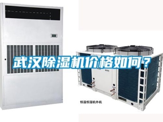企業新聞武漢除濕機價格如何？