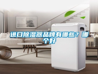 行業(yè)新聞進(jìn)口除濕器品牌有哪些？哪個(gè)好