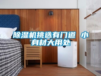 企業新聞除濕機挑選有門道 小身材大用處