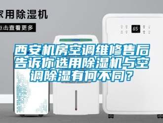 行業(yè)新聞西安機房空調(diào)維修售后告訴你選用除濕機與空調(diào)除濕有何不同？