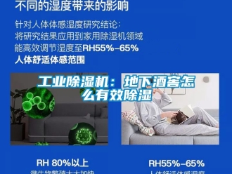 常見問題工業除濕機：地下酒窖怎么有效除濕