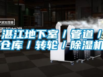 常見問題湛江地下室／管道／倉庫／轉輪／除濕機