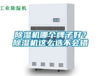 行業新聞除濕機哪個牌子好？除濕機這么選不會錯