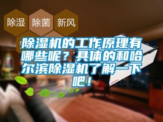 企業(yè)新聞除濕機(jī)的工作原理有哪些呢？具體的和哈爾濱除濕機(jī)了解一下吧！