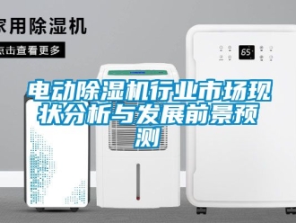 行業新聞電動除濕機行業市場現狀分析與發展前景預測