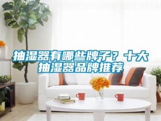 企業新聞抽濕器有哪些牌子？十大抽濕器品牌推薦