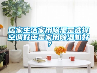 常見問題居家生活家用除濕是選擇空調好還是家用除濕機好？