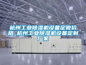 企業新聞杭州工業除濕機設備定做價格_杭州工業除濕機設備定制廠家