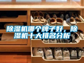 行業(yè)新聞除濕機哪個牌子好，除濕機十大排名分析