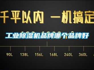 企業新聞工業除濕機品牌哪個品牌好