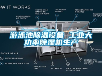 常見問題游泳池除濕設備 工業大功率除濕機生產
