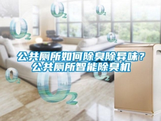 常見問題公共廁所如何除臭除異味？公共廁所智能除臭機