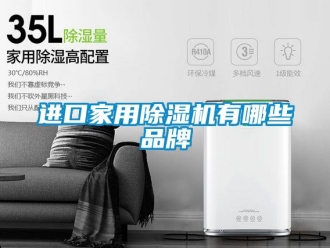 企業新聞進口家用除濕機有哪些品牌
