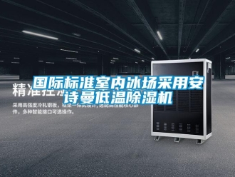 企業(yè)新聞國(guó)際標(biāo)準(zhǔn)室內(nèi)冰場(chǎng)采用安詩(shī)曼低溫除濕機(jī)