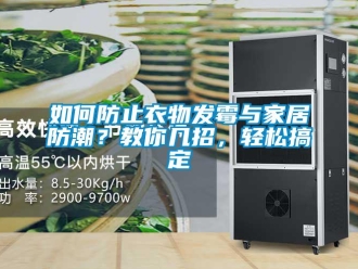 常見問題如何防止衣物發霉與家居防潮？教你幾招，輕松搞定