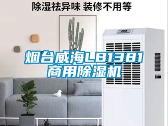 常見(jiàn)問(wèn)題煙臺(tái)威海LB1381商用除濕機(jī)