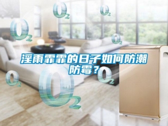常見問題淫雨霏霏的日子如何防潮防霉？