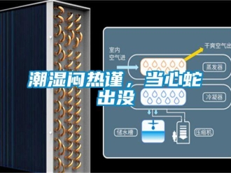 企業(yè)新聞潮濕悶熱謹(jǐn)，當(dāng)心蛇出沒