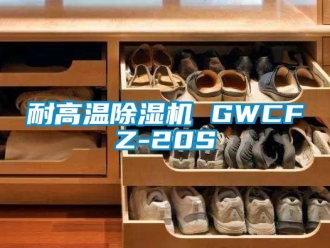 行業(yè)新聞耐高溫除濕機 GWCFZ-20S