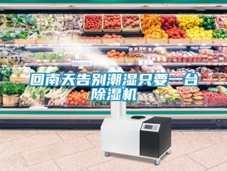 行業新聞回南天告別潮濕只要一臺除濕機