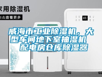 常見問題威海市工業除濕機，大型車間地下室抽濕機  配電房倉庫除濕器