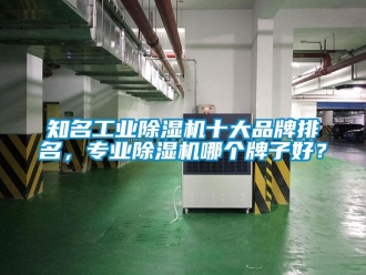 常見問題知名工業除濕機十大品牌排名，專業除濕機哪個牌子好？