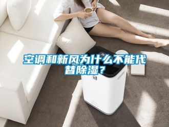 行業(yè)新聞空調(diào)和新風為什么不能代替除濕？