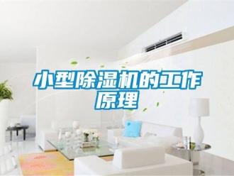 行業新聞小型除濕機的工作原理